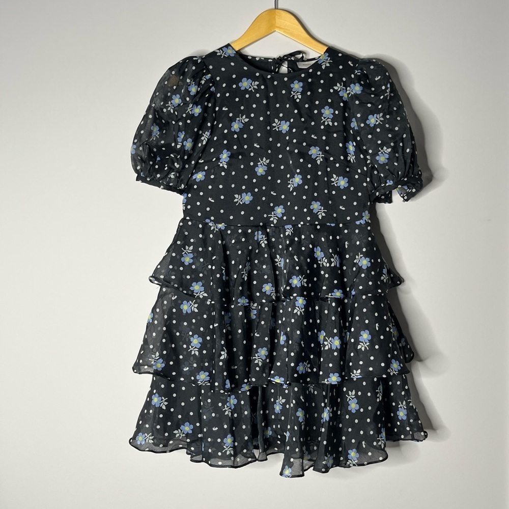 SANDY LIANG X TARGET Floral Black Dress with Blue White Floral Accents Size XS - Picture 3 of 11